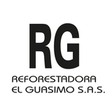 Guasimo